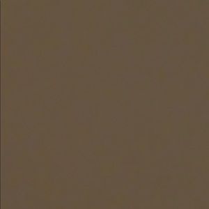 Meet your Posher, Eliza